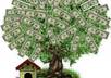 publish your backlink on my PR3 domain finance