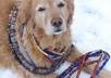 make an African Glass ,Stone, Bone necklace or bracelets beads for you or your pet