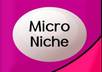 give you two micro niche keywords with 1500+ US exact Search and low competition