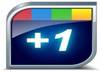 add 30+ Google +1 votes to your website,blog,url