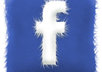 invite my 4000 facebook friend on your fan page