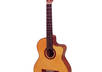 Acoustic_guitar