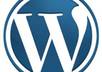 create a dazzling, professional website for you