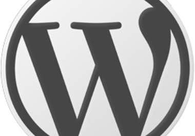 modify the look of any wordpress plugin or widget big1