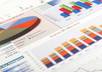 send you a complete 50 to 100 pages indepth ibp SEO optimization and ranking report for your website