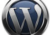 set up a website for you through Hostgator and Wordpress
