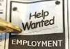 review your Resume or CV and make suggestions and comments to improve your chances of getting the job that you want