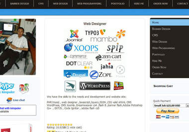 create theme site wordpress big1
