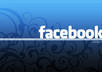 give you 600+ fb likes/fans in 1 day