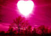 give you 25 high quality articles with private label rights on getting back ex and dealing with break ups