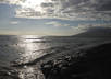 send you a picture from Maui