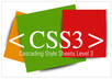 fix your CSS stylesheet problems