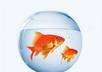 clean aquarium
