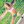 lricha03
