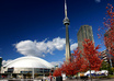 place your 250x250 ad on a Toronto, Canada, entertainment/quiz site for 1 month