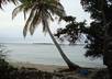 assist in providing lands in Maldives for investments