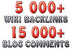 5000_wiki_backlinks_15000_blog_comments