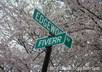 creat a road sign with your name with more than 40 options small1