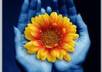 promote your link on my personal facebook page with 4900 friends small1