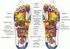 give you 20 high quality articles with private label rights about reflexology