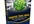 give you How to get Traffic PLR ebook with unrestricted right