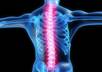 balance your spine with BodyTalk