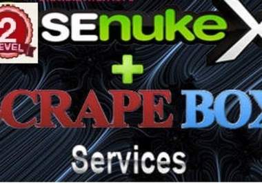 provide Penguin Safe SeNuke and Scrapebox Link Pyramid as per Diagram shown in description big1