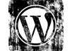 scan and debug your wordpress theme