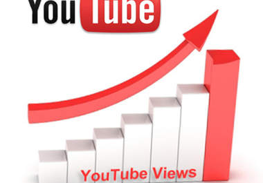 deliver you guaranteed 1000 Real Human Youtube views to your YT video big1