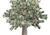 help you get out of debt by creating a personalized monthly budget and debt payoff schedule