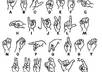 teach you 5 easy sentences to say in sign language