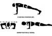 do up to 40 pushups while saying your company name small1