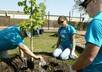 plant a tree for your company and send you a pic