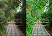 make fake HDR on your picture