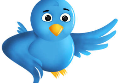 show you how to get 2000 plus twitter followers each day big1