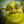 greenshrek