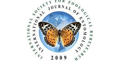 design a professional logo for your business, website, service big1