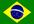 translate anything in BRAZILIAN portuguese