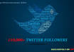 tweet your message to my 110,000+ Twitter followers ||| Buy 2 Get 1 Free |||