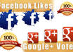 provide you 15 genuine real Google plus votes and 25 Real facebook likes on your fan page small1