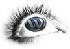 fix your Wordpress theme css problems and edit your css file within 48hrs