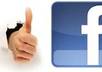 show You How To Get 1000s of Real Human FACEBOOK Likes Fans Free in less than 24 hrs