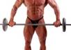 give you a Body Building  Turnkey Website Business W Clickbank Amazon Adsense Wordpress, loaded with 20  articles, Autopilot Income small1