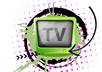 make 2 video for your blog or any of your choice