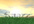 create a Sunrise Video with Your Logo or Text