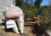 take a Picture or Video of any image or text with my Fat Plastic Garden Woman
