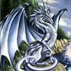 dragonwings
