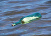 throw a bottle with GPS tracking device into the sea so you could monitor on my website the exact position of it