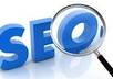 do a full month of seo for Google Panda and Penguin with GUARANTEED results including social bookmarking, article marketing, blogging, forum links and plenty more small1