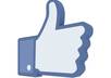 do 600 FB fan page l ike,subscribe or Google +1 or Youtube likes,views,subscribers or Website views or Twitter tweets,followers